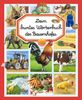 Dein buntes Wörterbuch: Bauernhof