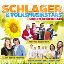 Schlager- & Volksmusikstars singen gemeinsam von Amigos & Die Ladiner, Andy Borg & Monique | CD | Zustand gut
