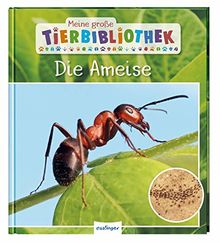 Die Ameise (Meine große Tierbibliothek)