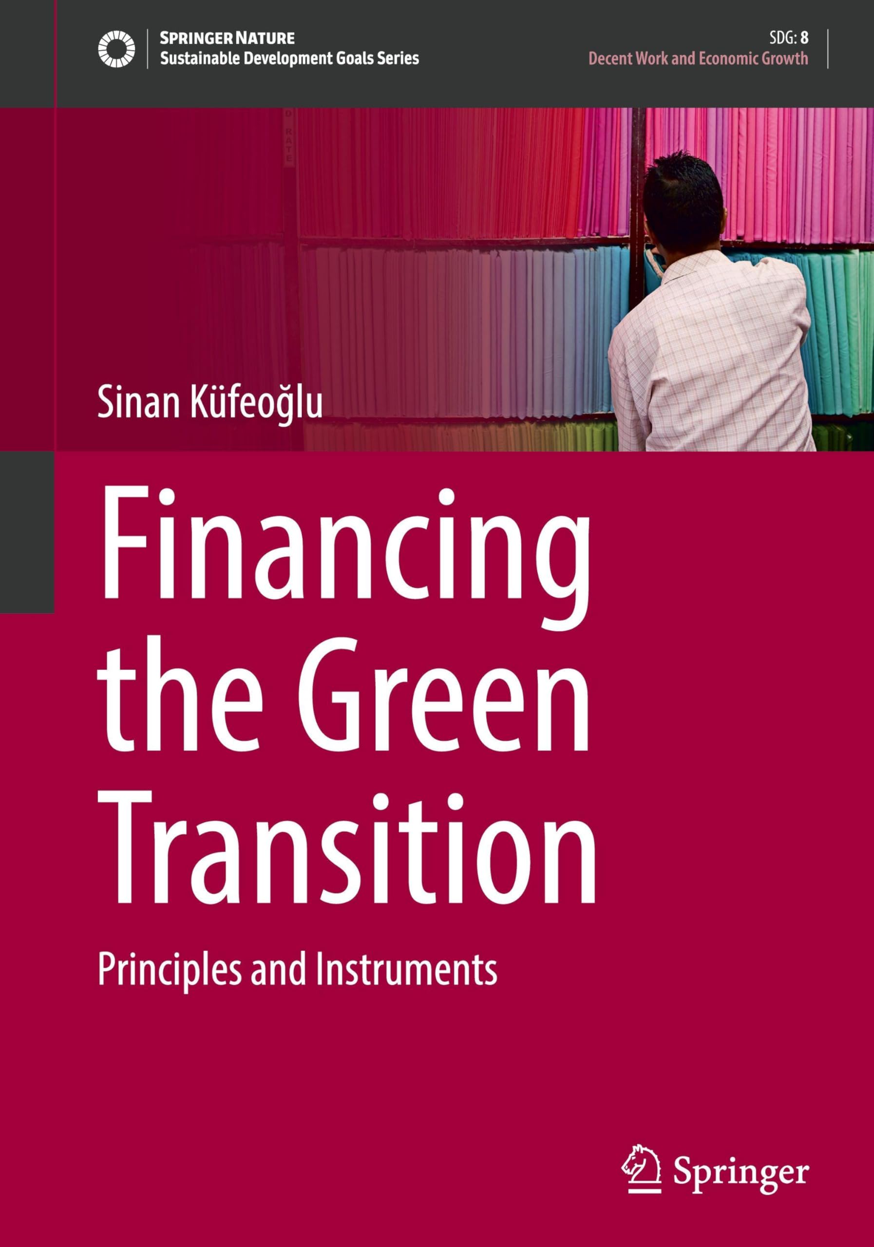 Financing the Green Transition: Principles and Instruments (Sustainable Development Goals Series)