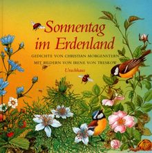 Sonnentag im Erdenland