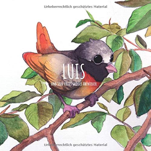 Luis und sein erstes großes Abenteuer