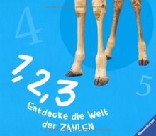 1, 2, 3: Entdecke die Welt der Zahlen