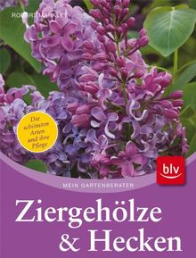 Hecken und Ziergehölze: Die schönsten Arten und Sorten ·  Pflanzen, Schneiden, Pflegen