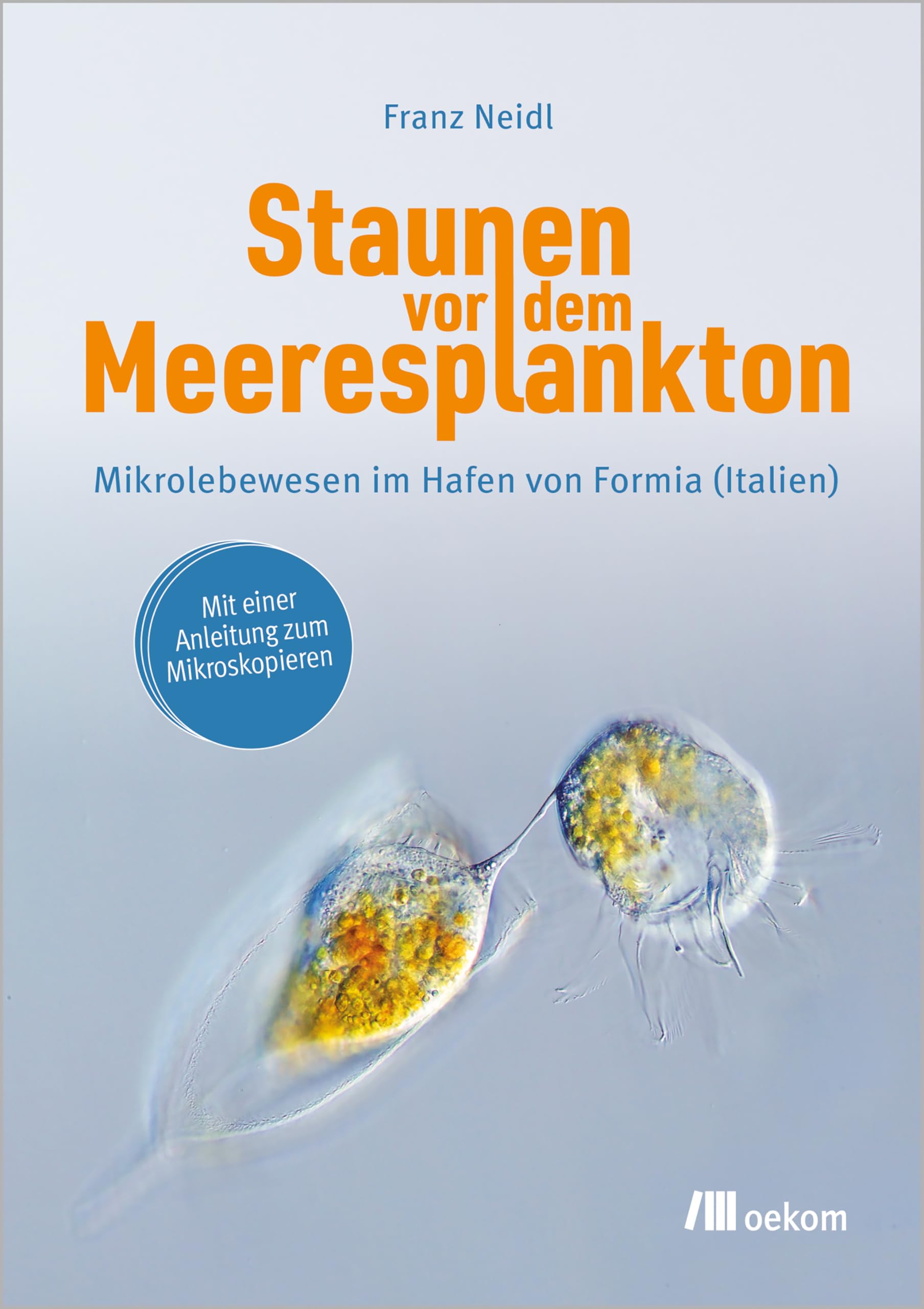 Staunen vor dem Meeresplankton: Mikrolebewesen im Hafen von Formia (Italien)