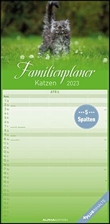 Katzen 2023 Familienplaner - Familien-Timer - Termin-Planer - Kinder-Kalender - Familien-Kalender - 22x45