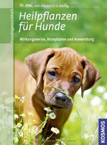Heilpflanzen für Hunde: Wirkungsweise, Rezepturen und Anwendung von Nadig, Alexandra | Buch | Zustand sehr gut