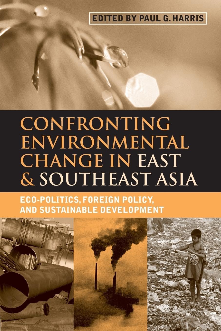 Confronting Environmental Change in East and Southeast Asia: Eco-politics, Foreign Policy and Sustainable Development