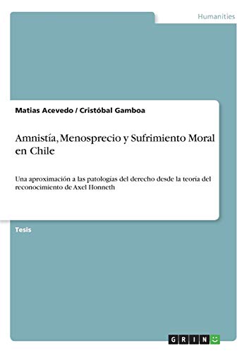 Amnistía, Menosprecio y Sufrimiento Moral en Chile: Una aproximación a las patologías del derecho desde la teoría del reconocimiento de Axel Honneth