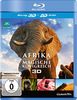 Afrika - Das magische Königreich (+ Blu-ray)