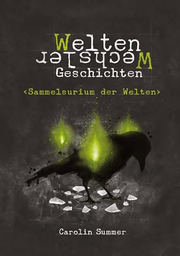 Sammelsurium der Welten (WeltenWechsler Geschichten: Auskopplung zur WeltenWechsler-Akten-Tetralogie)