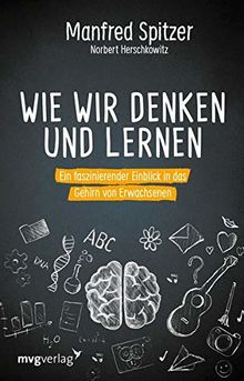 Wie wir denken und lernen: Ein faszinierender Einblick in das Gehirn von Erwachsenen