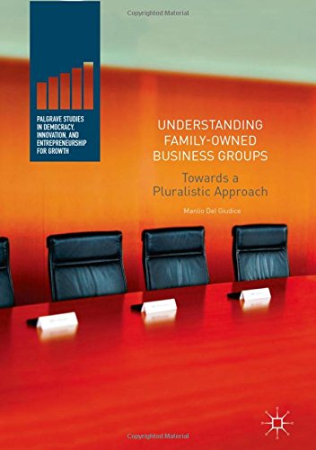 Understanding Family-Owned Business Groups: Towards a Pluralistic Approach (Palgrave Studies in Democracy, Innovation, and Entrepreneurship for Growth)