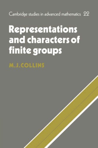 Representations of Finite Groups (Cambridge Studies in Advanced Mathematics, Band 22)