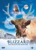 Blizzard - Das magische Rentier