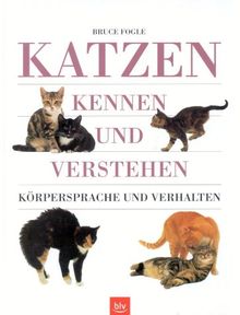 Katzen kennen und verstehen