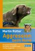 Aggression beim Hund: Ursachen erkennen, Verhalten verstehen und richtig reagieren