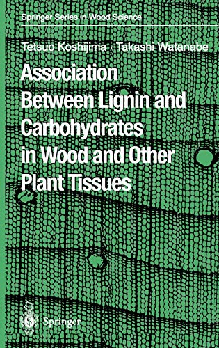 Association Between Lignin and Carbohydrates in Wood and Other Plant Tissues (Springer Series in Wood Science)