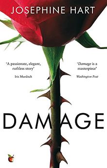 Damage (Virago Modern Classics, Band 173)