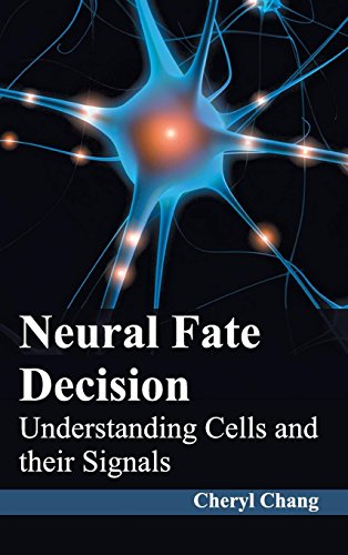 Neural Fate Decision: Understanding Cells and their Signals