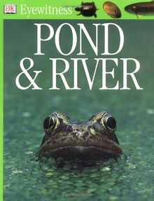 Pond & River (Eyewitness)