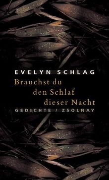 Brauchst du den Schlaf dieser Nacht: Gedichte
