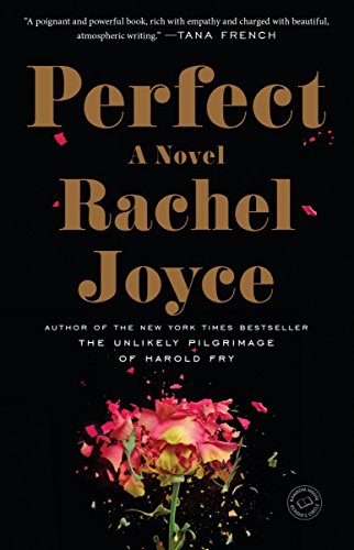 Perfect: A Novel