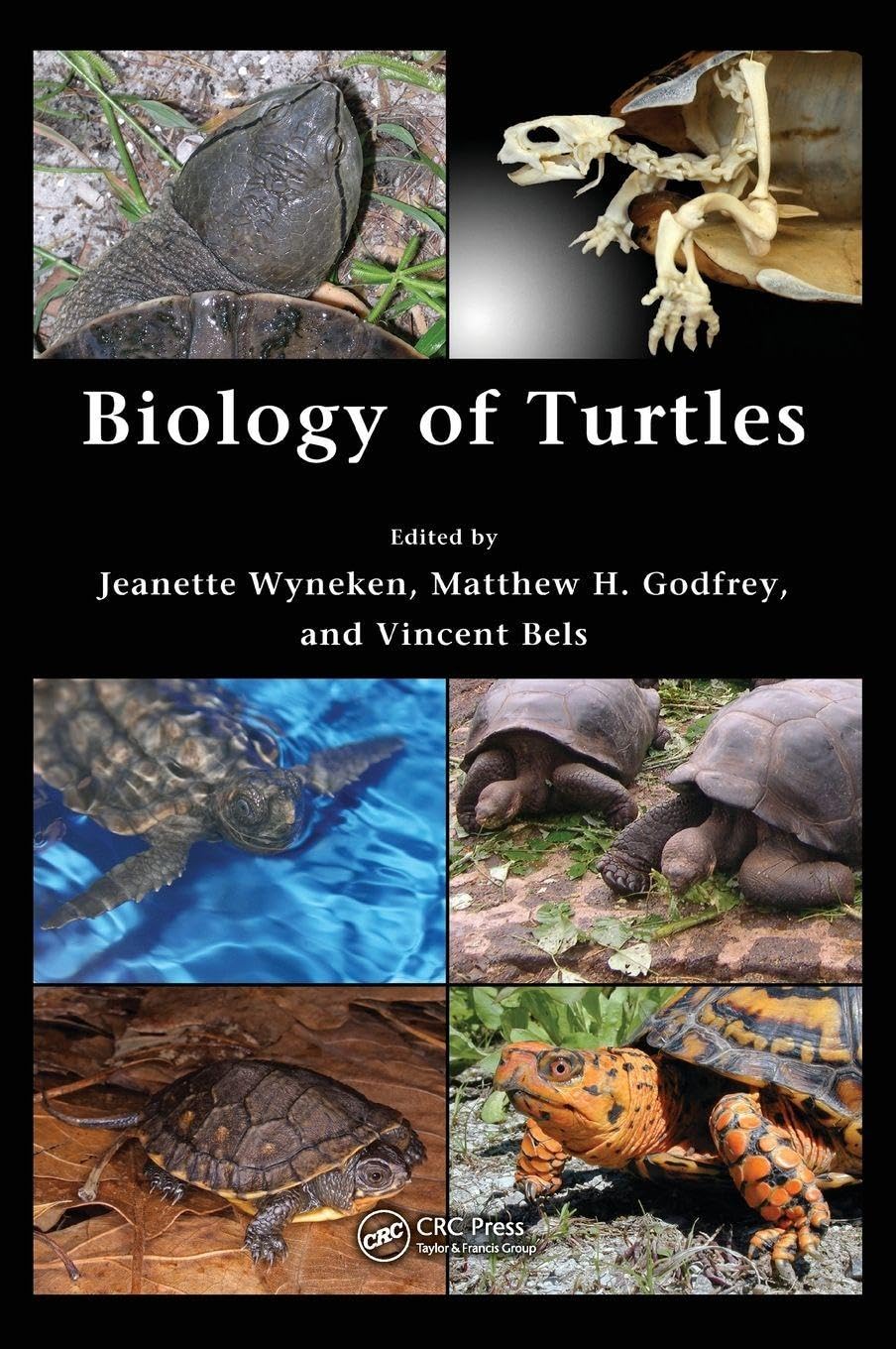 Biology of Turtles: From Structures to Strategies of Life