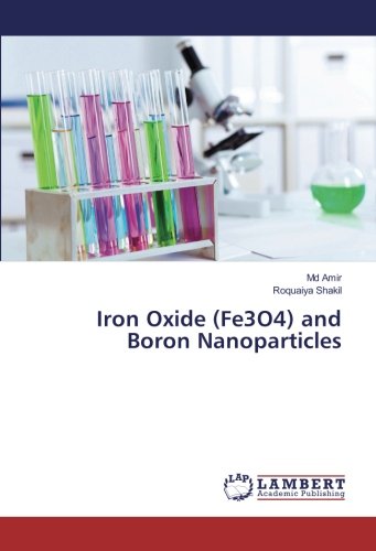 Iron Oxide (Fe3O4) and Boron Nanoparticles