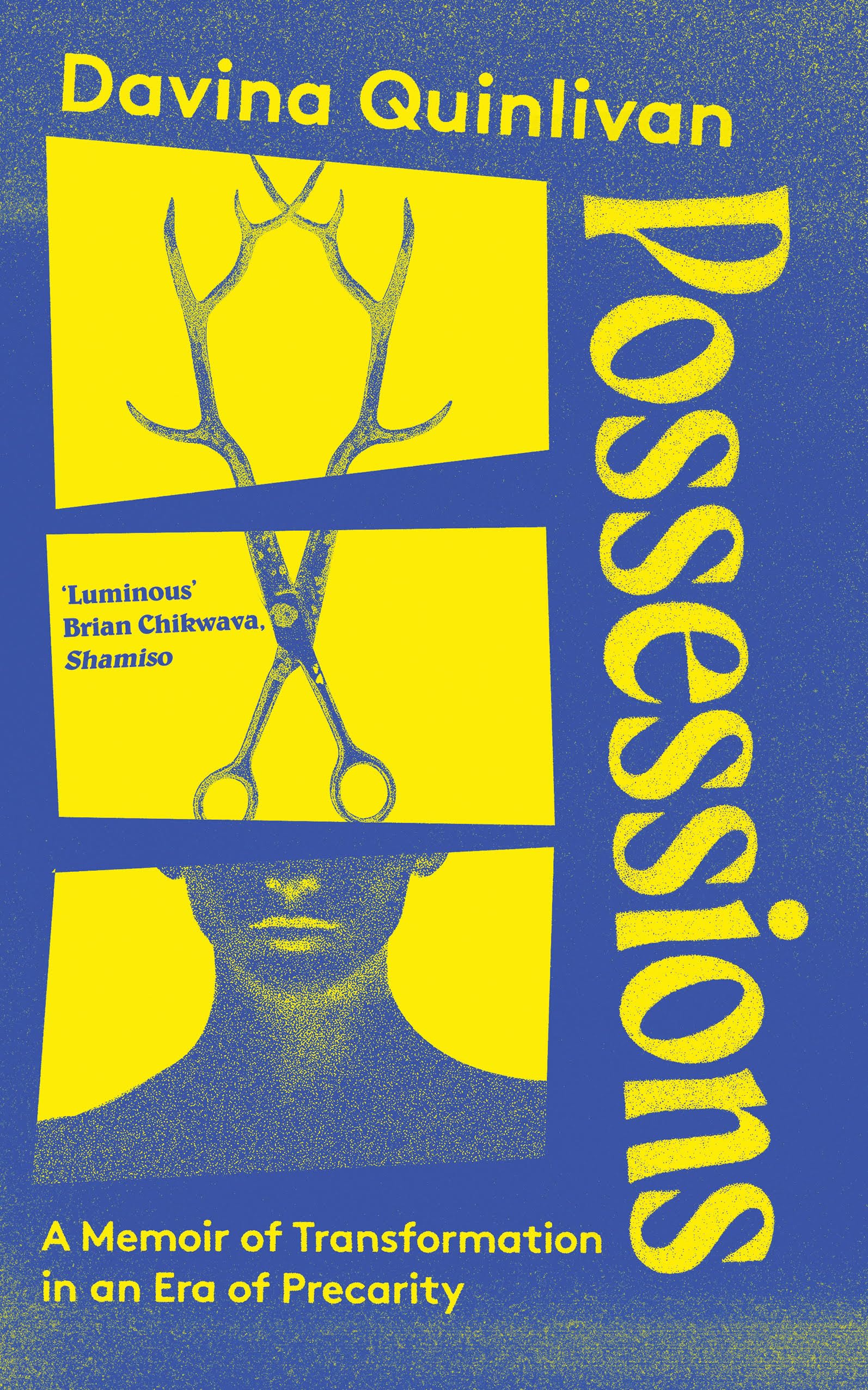 Quinlivan, Davina: Possessions: A Memoir of Transformation in an Era of Precarity