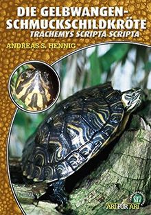 Die Gelbwangenschmuckschildkröte: Tracheyms scripta scripta (Art für Art / Terraristik)