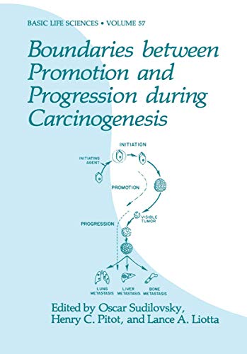 Boundaries between Promotion and Progression during Carcinogenesis (Basic Life Sciences, 57, Band 57)