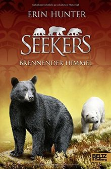 Seekers. Brennender Himmel: Band 11