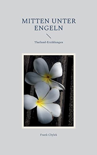 Mitten unter Engeln: Thailand-Erzählungen
