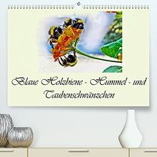 Blaue Holzbiene – Hummel – und Taubenschwänzchen. (Premium, hochwertiger DIN A2 Wandkalender 2023, Kunstdruck in Hochglanz)