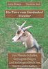 Die Tiere vom Gnadenhof Eiweiler: Von Pferde-Schafen, Gefängnis-Ziegen und außergewöhnlichen Tierfreundschaften