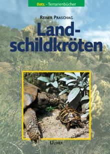 Landschildkröten