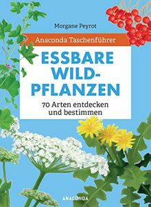 Anaconda Taschenführer Essbare Wildpflanzen: 70 Arten entdecken und bestimmen