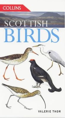 Scottish Birds (Collins Guides)