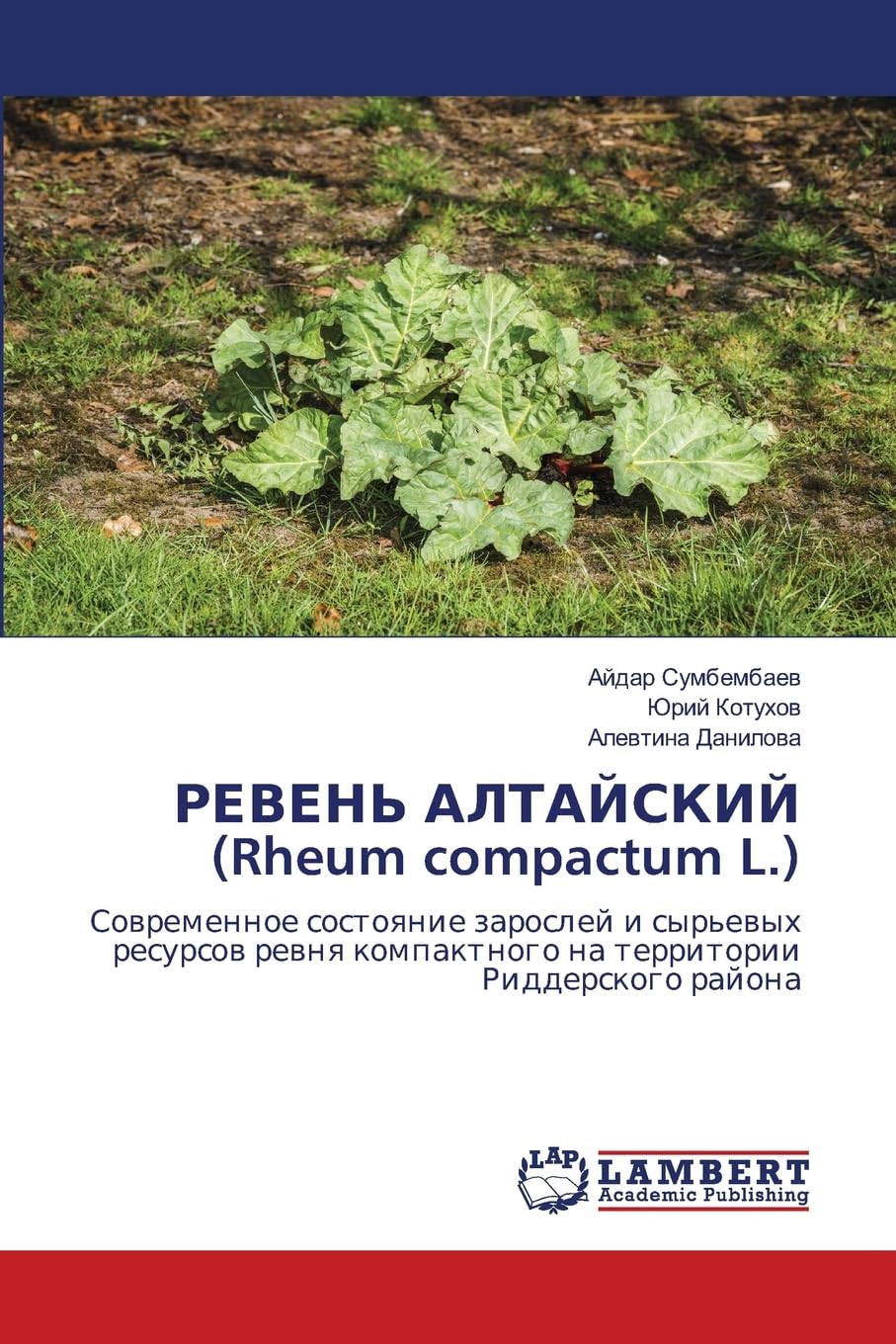 РЕВЕНЬ АЛТАЙСКИЙ (Rheum compactum L.): Современное состояние зарослей и сырьевых ресурсов ревня компактного на территории Риддерского района: ... kompaktnogo na territorii Ridderskogo rajona