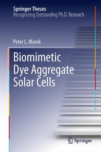 Biomimetic Dye Aggregate Solar Cells (Springer Theses)