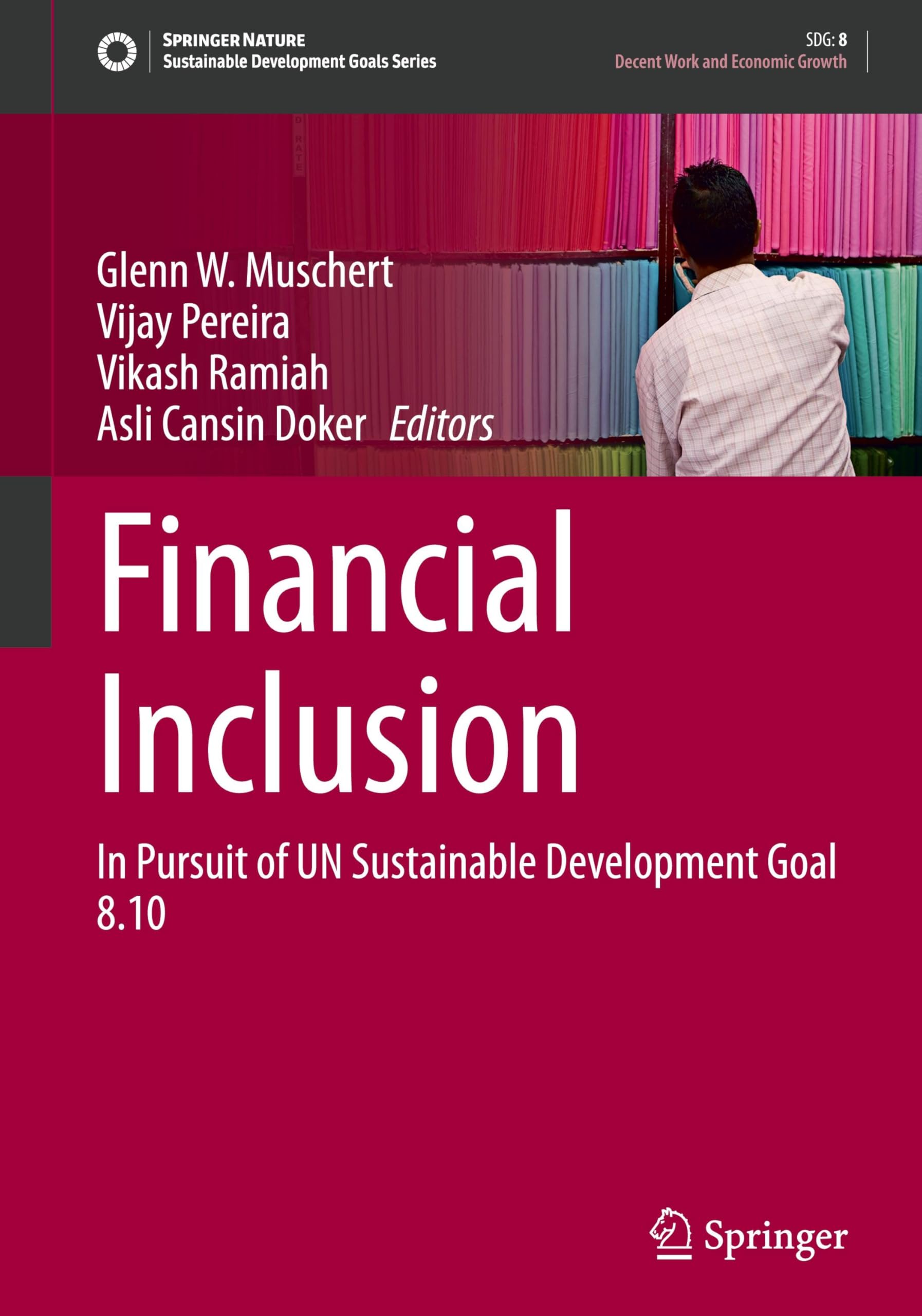 Financial Inclusion: In Pursuit of UN Sustainable Development Goal 8.10 (Sustainable Development Goals Series)