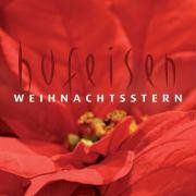 Weihnachtsstern. CD