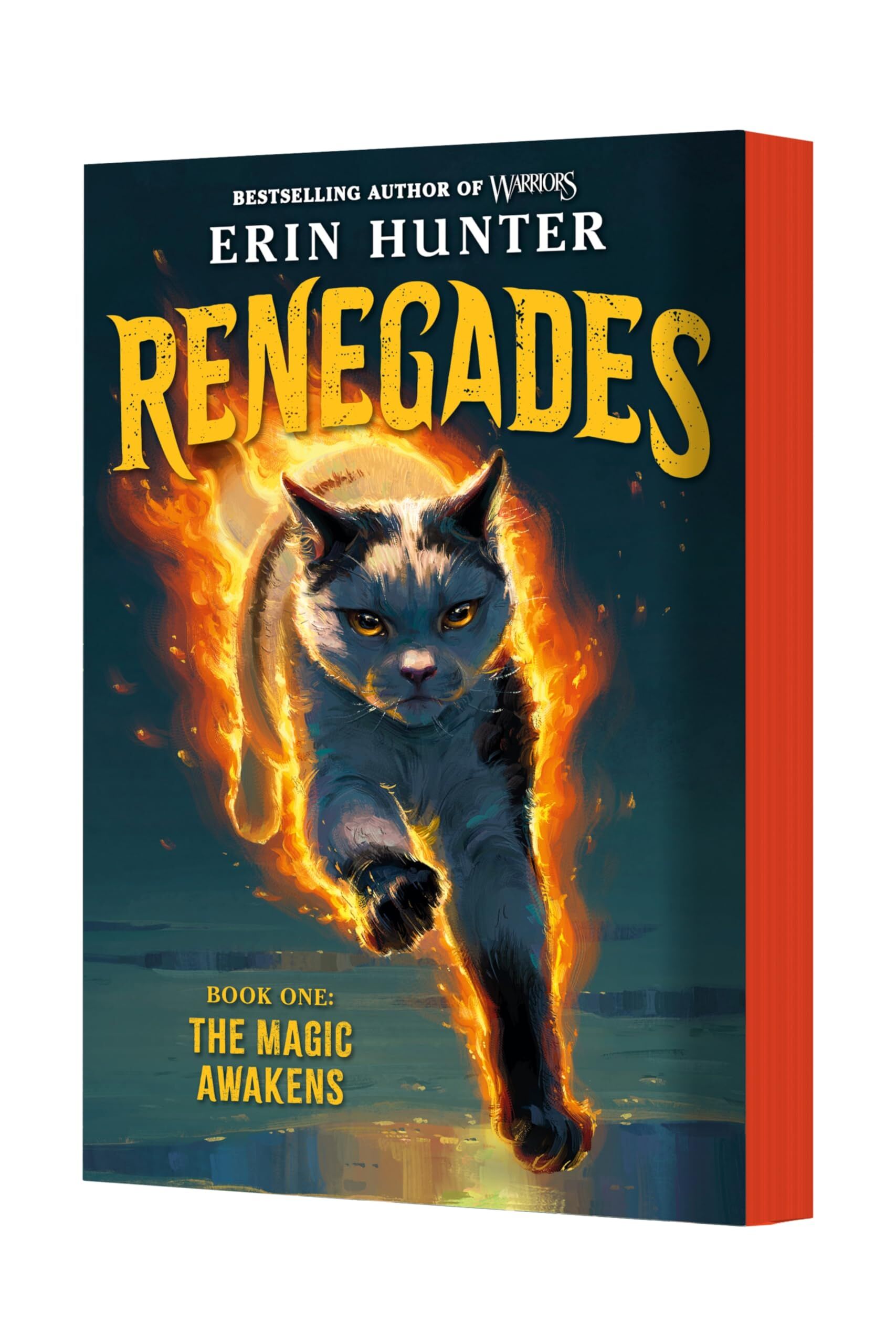 Renegades 01: The Magic Awakens