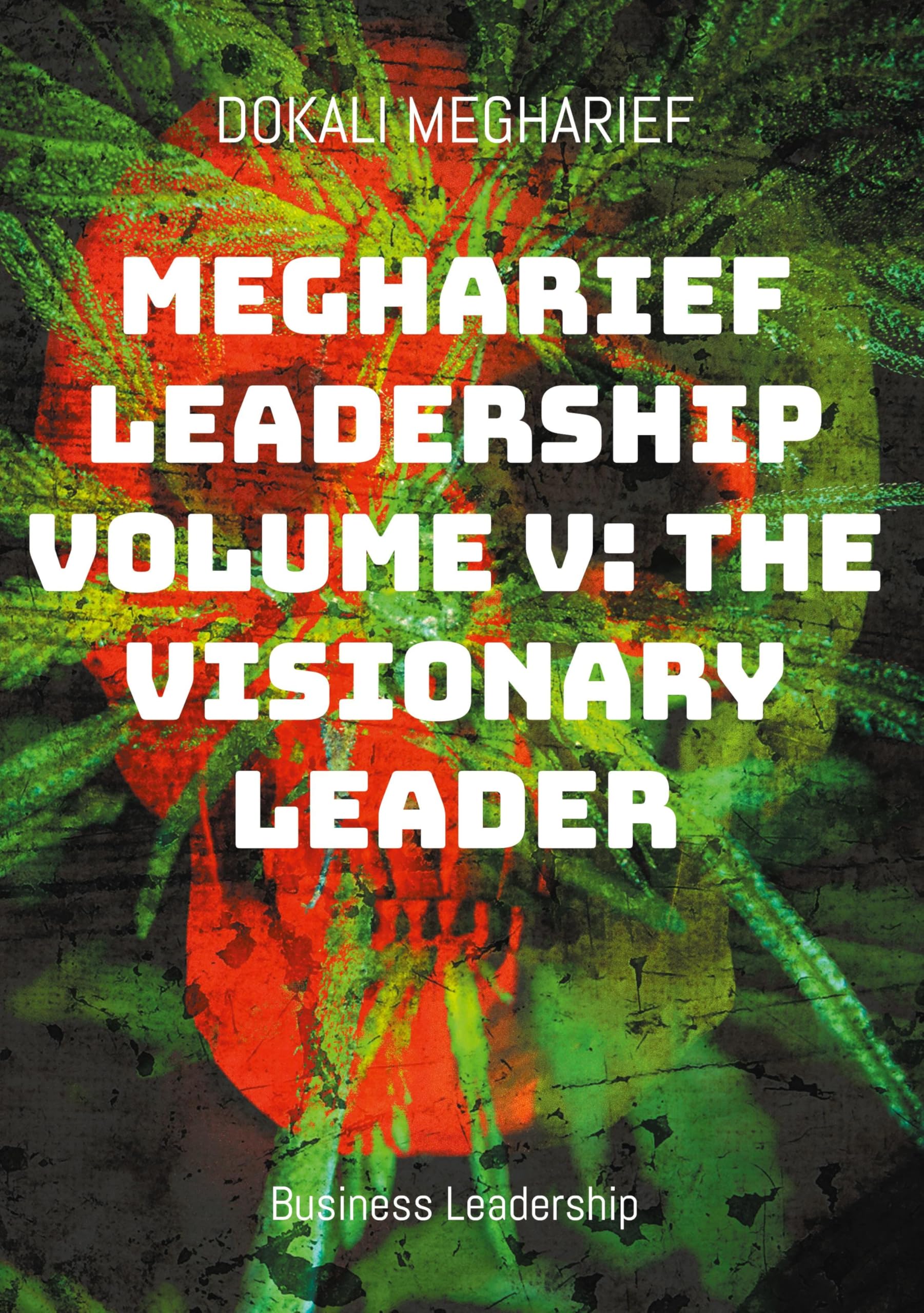 Megharief Leadership Volume V: The Visionary Leader: Business Leadership
