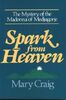 Spark from Heaven: The Mystery of the Madonna of Medjugorje