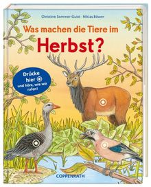 Was machen die Tiere im Herbst?