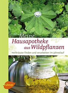 Meine Hausapotheke aus Wildpflanzen: Heilkräuter finden und verarbeiten im Jahreslauf