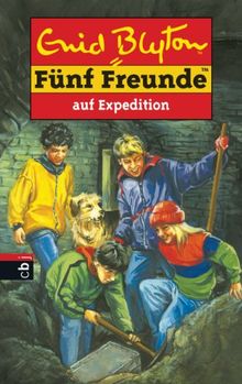 Fünf Freunde, Neue Abenteuer, Bd.30, Fünf Freunde auf Expedition