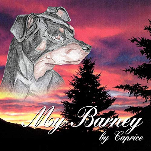 My Barney